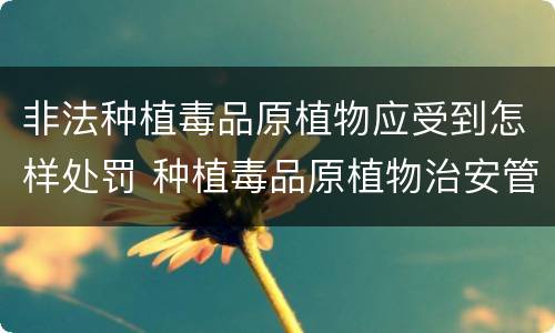 非法种植毒品原植物应受到怎样处罚 种植毒品原植物治安管理处罚法