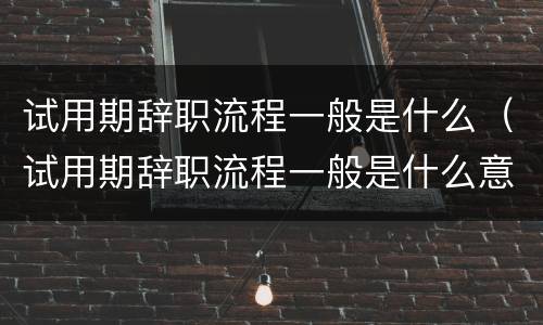 试用期辞职流程一般是什么（试用期辞职流程一般是什么意思）