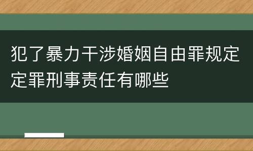 犯了暴力干涉婚姻自由罪规定定罪刑事责任有哪些