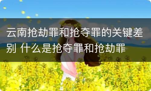 云南抢劫罪和抢夺罪的关键差别 什么是抢夺罪和抢劫罪