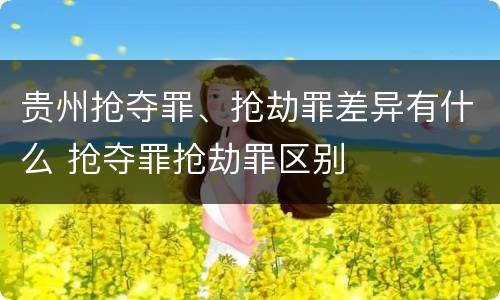 贵州抢夺罪、抢劫罪差异有什么 抢夺罪抢劫罪区别