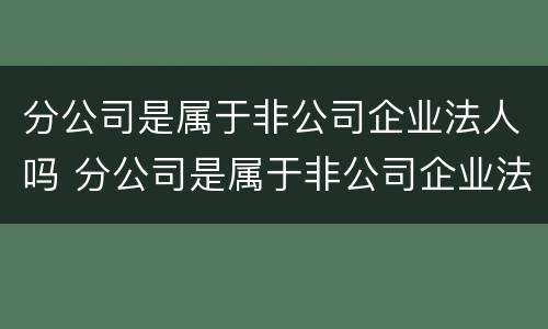 分公司是属于非公司企业法人吗 分公司是属于非公司企业法人吗