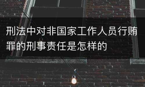 刑法中对非国家工作人员行贿罪的刑事责任是怎样的