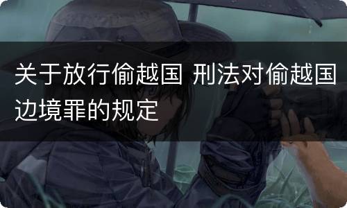 关于放行偷越国 刑法对偷越国边境罪的规定