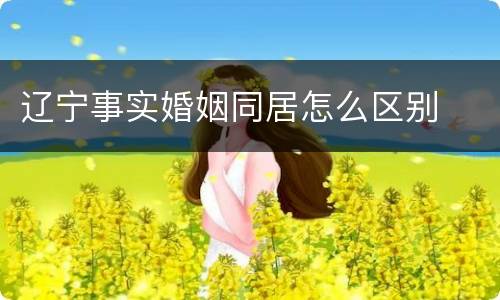 辽宁事实婚姻同居怎么区别