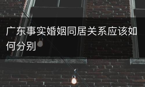 广东事实婚姻同居关系应该如何分别