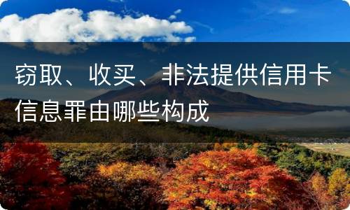 窃取、收买、非法提供信用卡信息罪由哪些构成