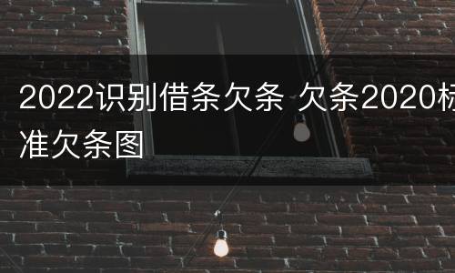 2022识别借条欠条 欠条2020标准欠条图