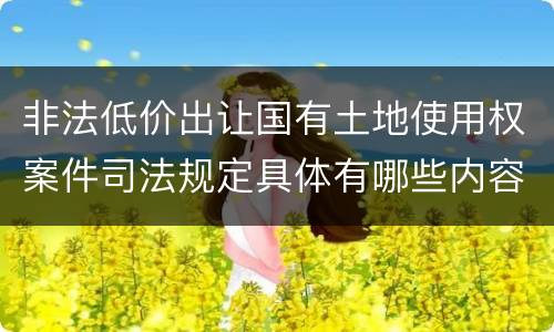 非法低价出让国有土地使用权案件司法规定具体有哪些内容