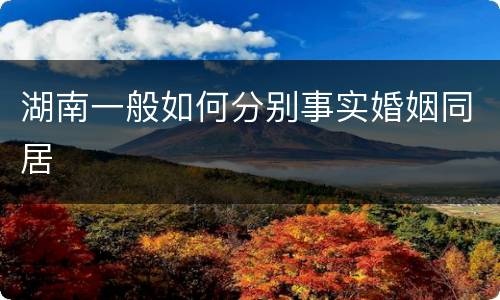湖南一般如何分别事实婚姻同居