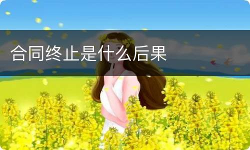 合同终止是什么后果