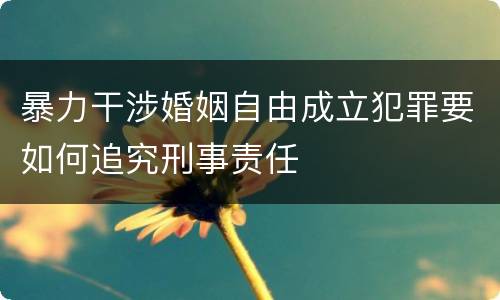 暴力干涉婚姻自由成立犯罪要如何追究刑事责任