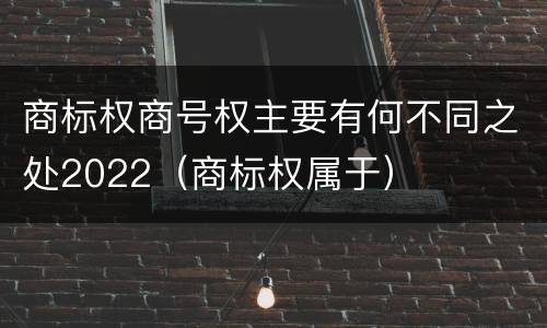 商标权商号权主要有何不同之处2022（商标权属于）