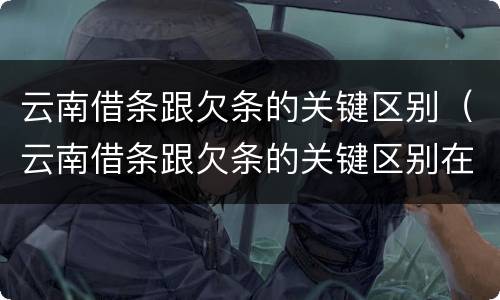 云南借条跟欠条的关键区别（云南借条跟欠条的关键区别在哪里）