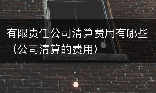 有限责任公司清算费用有哪些（公司清算的费用）