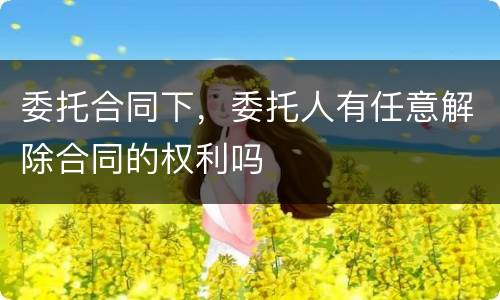 委托合同下，委托人有任意解除合同的权利吗