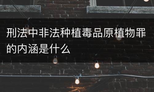 刑法中非法种植毒品原植物罪的内涵是什么
