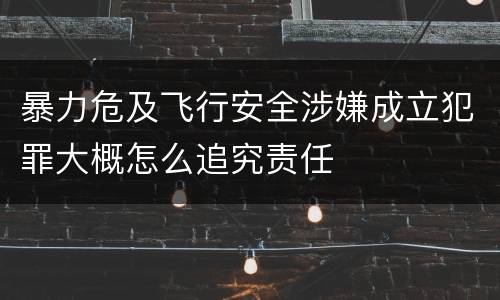 暴力危及飞行安全涉嫌成立犯罪大概怎么追究责任