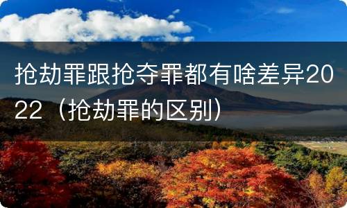 抢劫罪跟抢夺罪都有啥差异2022（抢劫罪的区别）