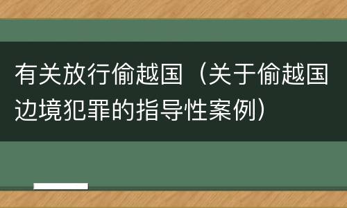有关放行偷越国（关于偷越国边境犯罪的指导性案例）