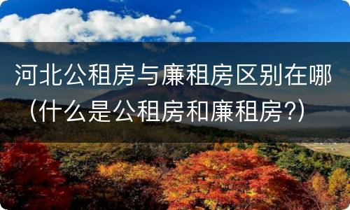 河北公租房与廉租房区别在哪（什么是公租房和廉租房?）