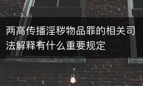两高传播淫秽物品罪的相关司法解释有什么重要规定