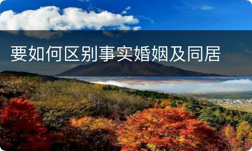 要如何区别事实婚姻及同居