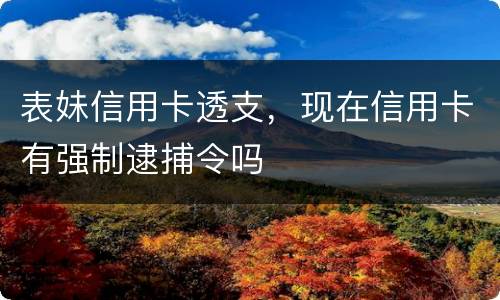 表妹信用卡透支，现在信用卡有强制逮捕令吗