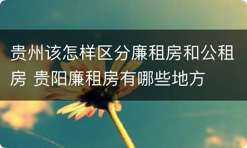 贵州该怎样区分廉租房和公租房 贵阳廉租房有哪些地方