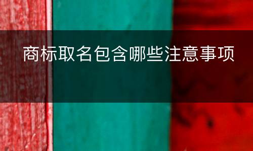   商标取名包含哪些注意事项