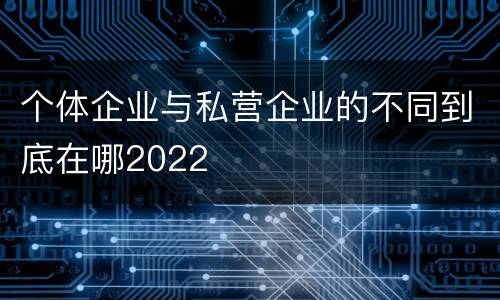 个体企业与私营企业的不同到底在哪2022
