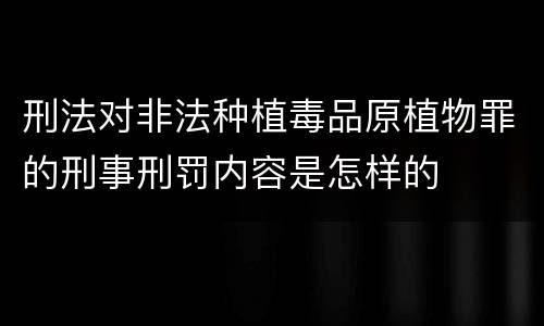 刑法对非法种植毒品原植物罪的刑事刑罚内容是怎样的