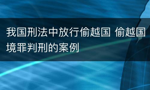 我国刑法中放行偷越国 偷越国境罪判刑的案例