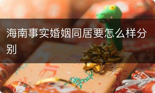 海南事实婚姻同居要怎么样分别