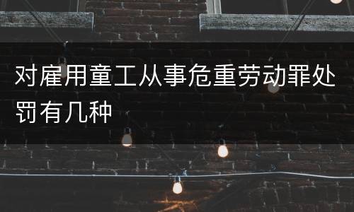 对雇用童工从事危重劳动罪处罚有几种