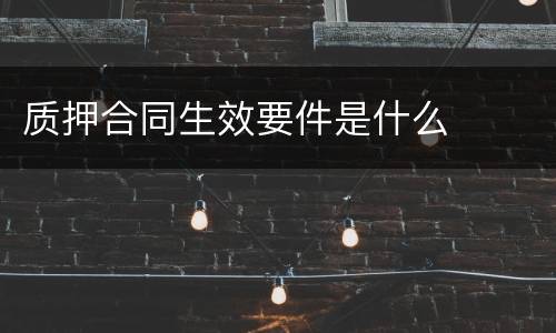 质押合同生效要件是什么