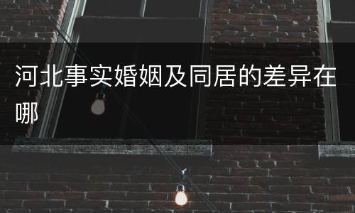 河北事实婚姻及同居的差异在哪