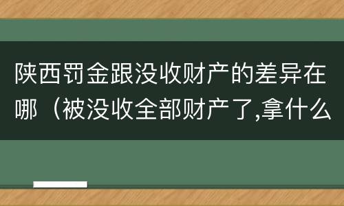 陕西罚金跟没收财产的差异在哪（被没收全部财产了,拿什么交罚金）
