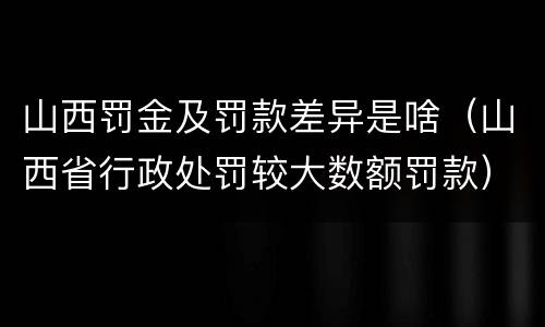 山西罚金及罚款差异是啥（山西省行政处罚较大数额罚款）
