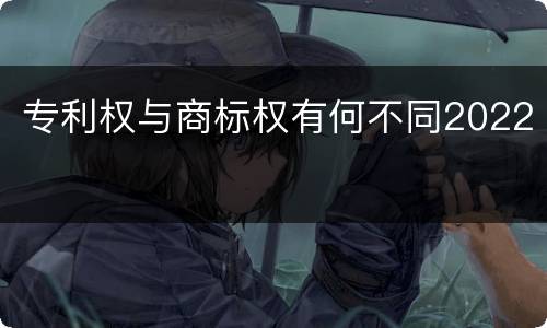 专利权与商标权有何不同2022