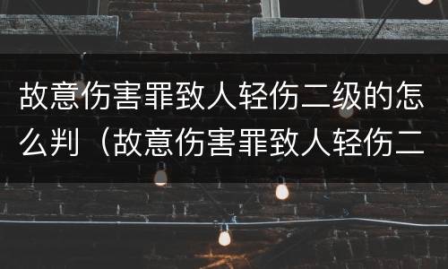 故意伤害罪致人轻伤二级的怎么判（故意伤害罪致人轻伤二级量刑标准）