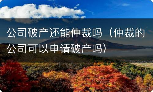 公司破产还能仲裁吗（仲裁的公司可以申请破产吗）
