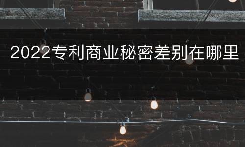 2022专利商业秘密差别在哪里
