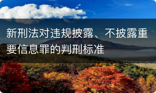 新刑法对违规披露、不披露重要信息罪的判刑标准