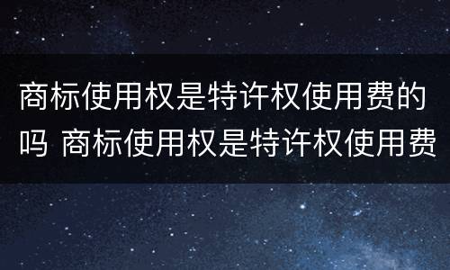 商标使用权是特许权使用费的吗 商标使用权是特许权使用费的吗对吗