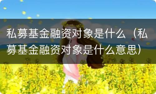 私募基金融资对象是什么（私募基金融资对象是什么意思）