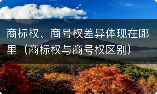 商标权、商号权差异体现在哪里（商标权与商号权区别）