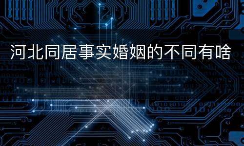 河北同居事实婚姻的不同有啥