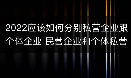 2022应该如何分别私营企业跟个体企业 民营企业和个体私营