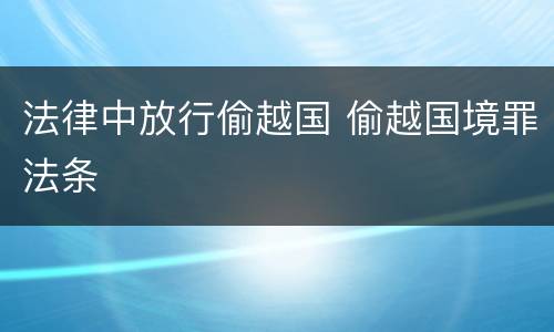 法律中放行偷越国 偷越国境罪法条